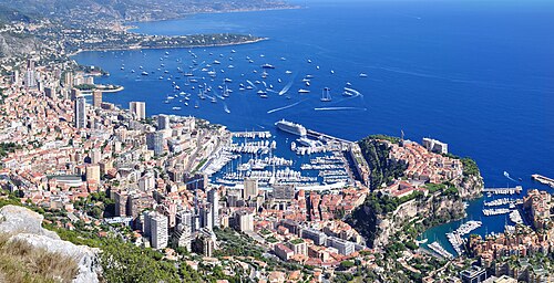 Monte Carlo (Micranthemum tweediei)