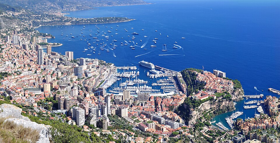 Monte Carlo (Micranthemum tweediei)